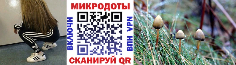 Псилоцибиновые грибы Magic Shrooms Шали